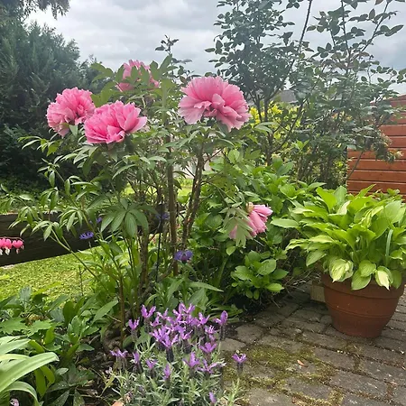 Katharina Im Weinort An Der Mosel Apartman