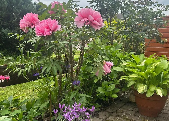 Katharina Im Weinort An Der Mosel 아파트